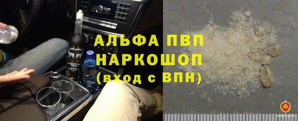 тгк Володарск