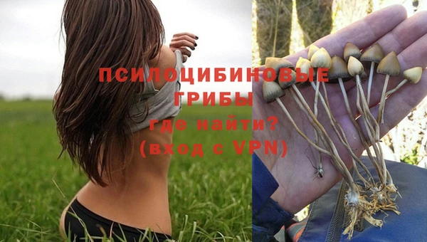 apvp Волосово